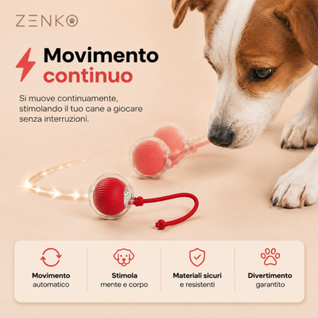 Zenko.Pet