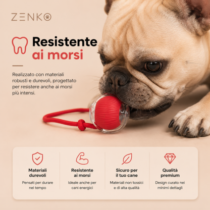 Zenko.Pet