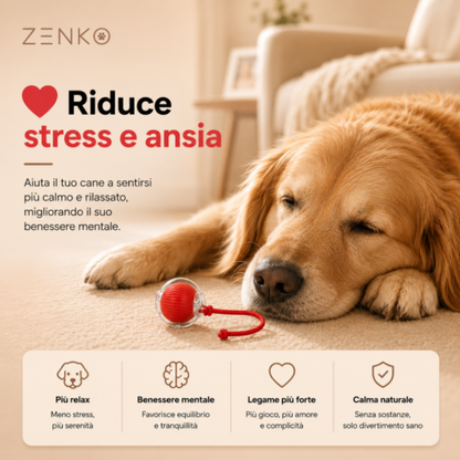 Zenko.Pet